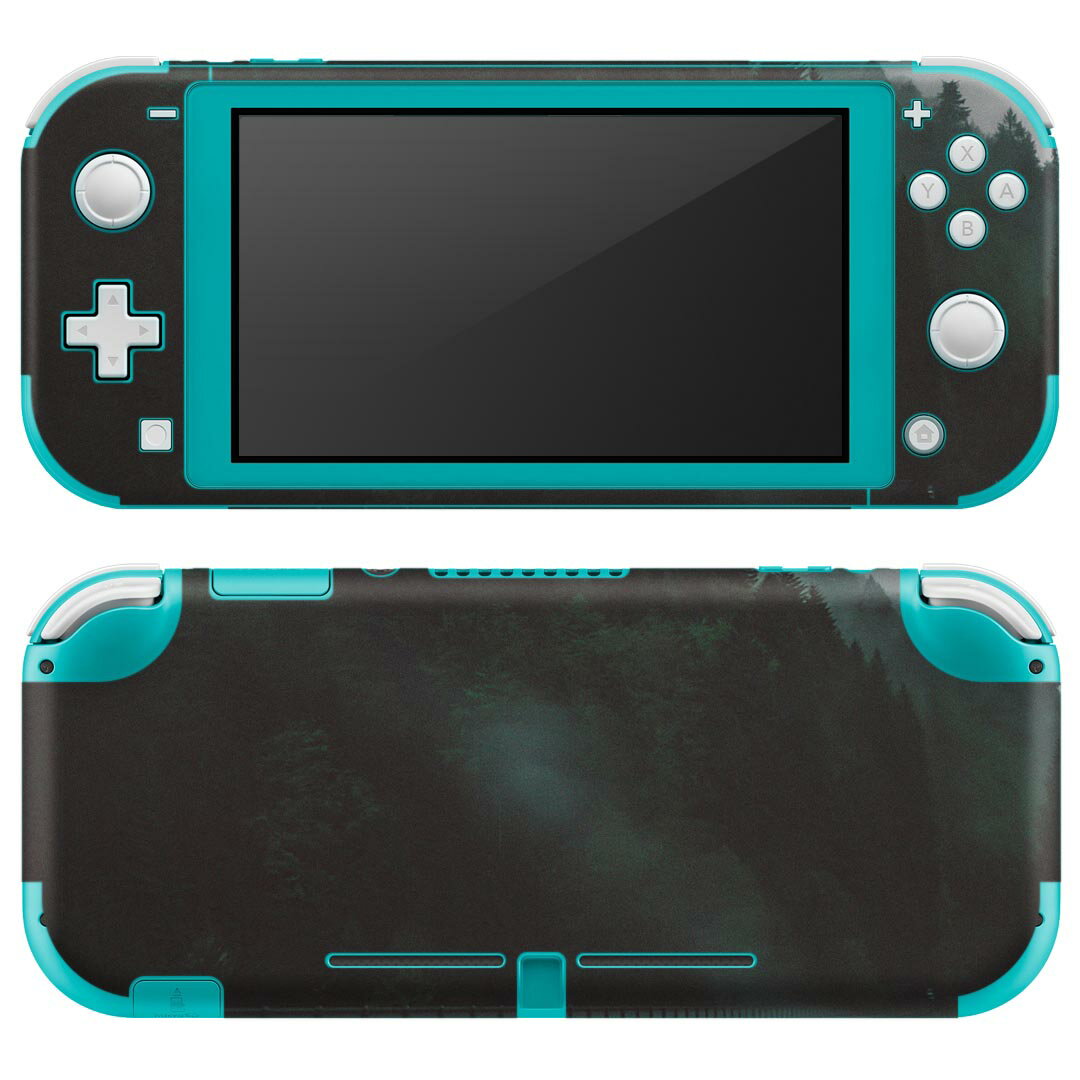 igsticker Nintendo Switch Lite 専用 デザインスキンシール 全面 ニンテンドー スイッチ ライト 専用 ゲーム機 カバー アクセサリー フィルム ステッカー エアフリー 023728 道路　森