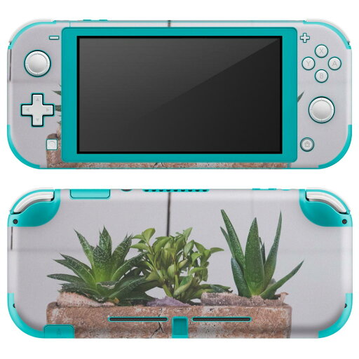 igsticker Nintendo Switch Lite 専用 デザインスキンシール 全面 ニンテンドー スイッチ ライト 専用 ゲーム機 カバー アクセサリー フィルム ステッカー エアフリー 023734 植物 植木鉢 写真 igsticker Nintendo Switch Lite 専用 デザインスキンシール 全面 ニンテンドー スイッチ ライト 専用 ゲーム機 カバー アクセサリー フィルム ステッカー エアフリー 023734 植物 植木鉢 写真