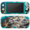 igsticker Nintendo Switch Lite p fUCXLV[ S jeh[ XCb` Cg p Q[@ Jo[ ANZT[ tB XebJ[ GAt[ 023762 ʐ^@i