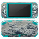 igsticker Nintendo Switch Lite 専用 デザインスキンシール 全面 ニンテンドー スイッチ ライト 専用 ゲーム機 カバー アクセサリー フィルム ステッカー エアフリー 023804 空　雲　写真