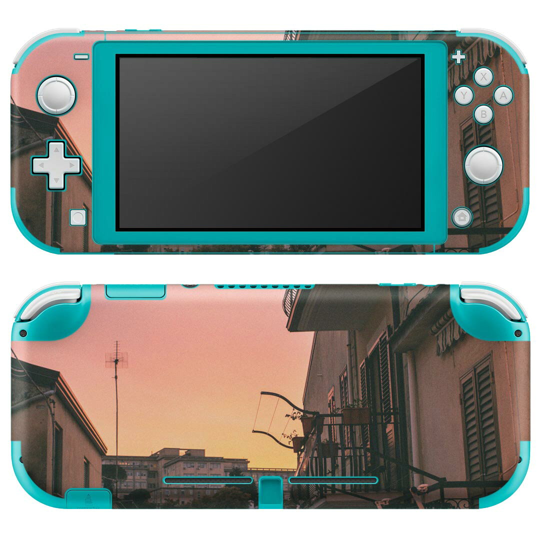 igsticker Nintendo Switch Lite 専用 デザインスキンシール 全面 ニンテンドー スイッチ ライト 専用 ゲーム機 カバー アクセサリー フィルム ステッカー エアフリー 023841 夕日　写真　街並み