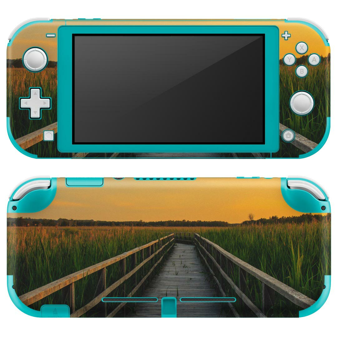 igsticker Nintendo Switch Lite 専用 デザインスキンシール 全面 ニンテンドー スイッチ ライト 専用 ゲーム機 カバー アクセサリー フィルム ステッカー エアフリー 023855 橋　ブリッジ　写真