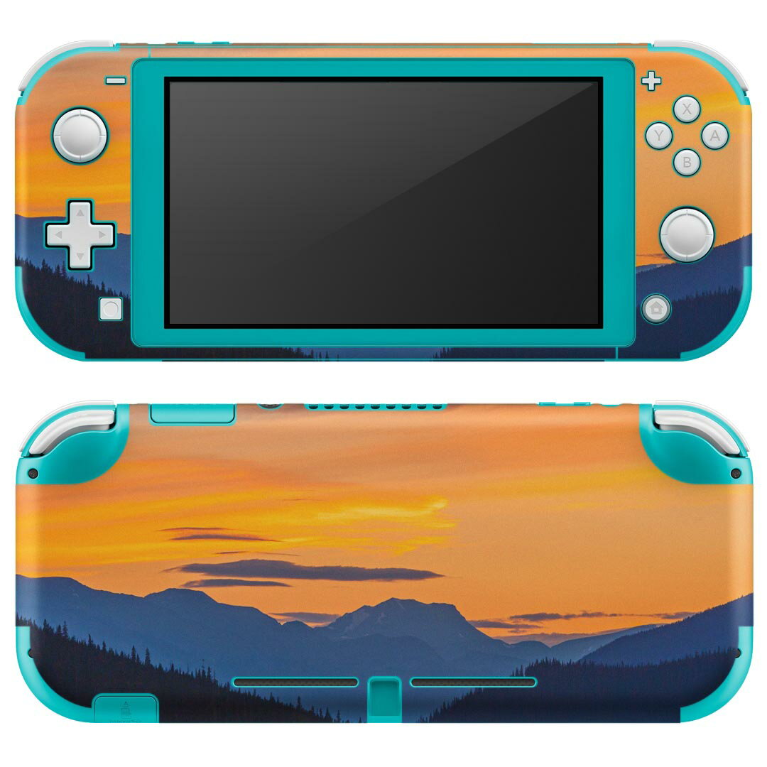 igsticker Nintendo Switch Lite 専用 デザインスキンシール 全面 ニンテンドー スイッチ ライト 専用 ゲーム機 カバー アクセサリー フィルム ステッカー エアフリー 023860 景色　夕日　写真