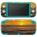 igsticker Nintendo Switch Lite p fUCXLV[ S jeh[ XCb` Cg p Q[@ Jo[ ANZT[ tB XebJ[ GAt[ 023862 [@C@iF