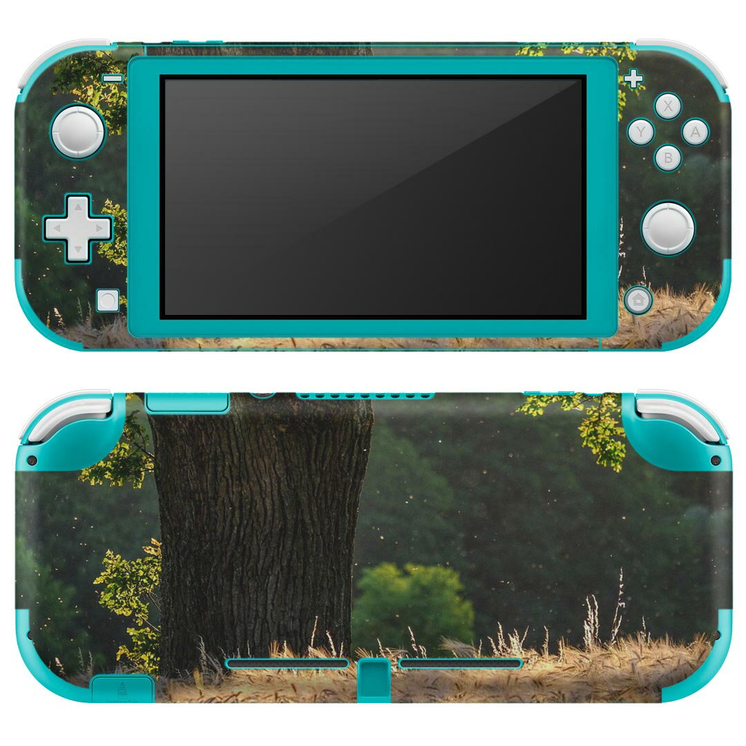 igsticker Nintendo Switch Lite 専用 デザインスキンシール 全面 ニンテンドー スイッチ ライト 専用 ゲーム機 カバー アクセサリー フィルム ステッカー エアフリー 023907 自然　写真　景色