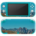 igsticker Nintendo Switch Lite 専用 デザインスキンシール 全面 ニンテンドー スイッチ ライト 専用 ゲーム機 カバー アクセサリー フィルム ステッカー エアフリー 023929 写真　道路