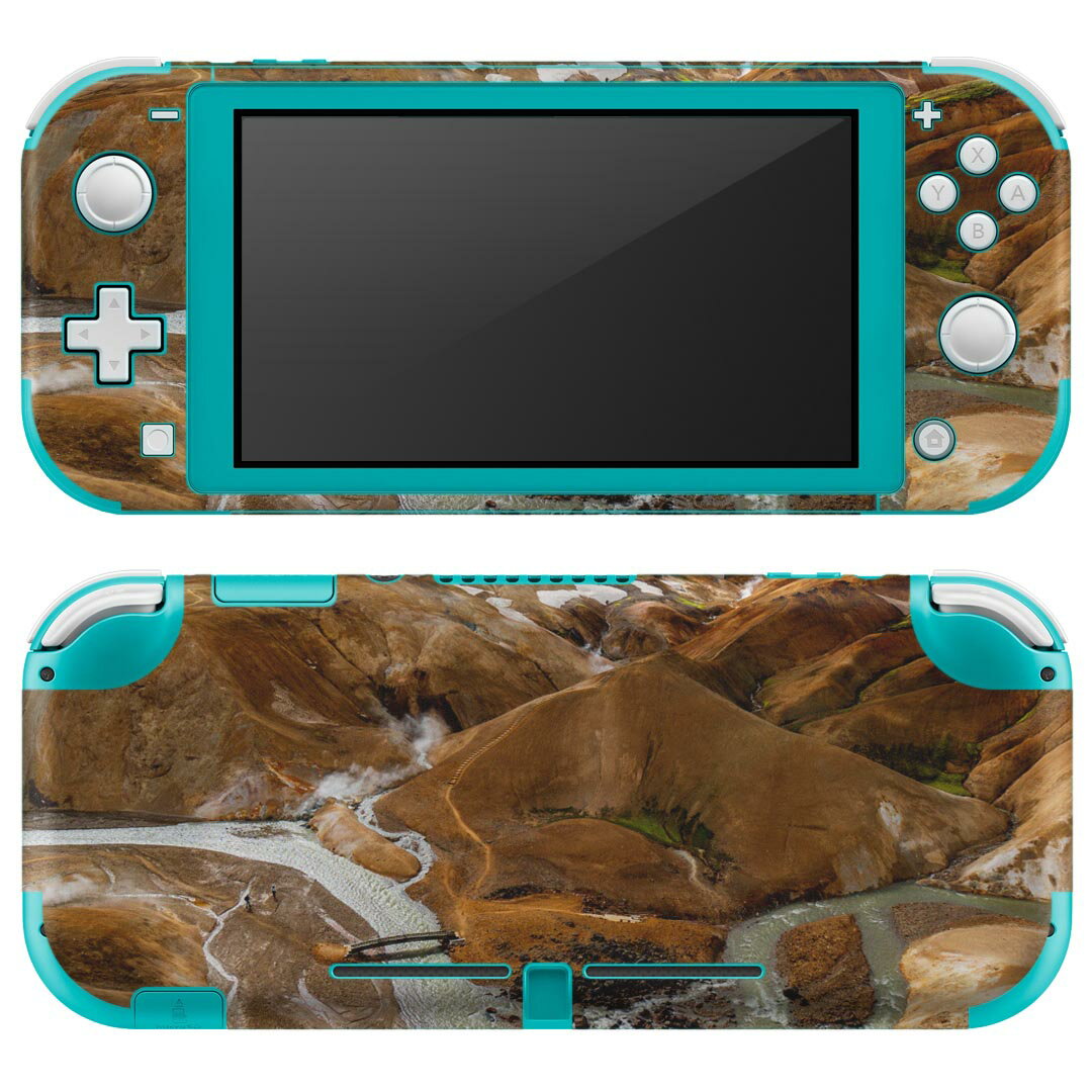 igsticker Nintendo Switch Lite 専用 デザインスキンシール 全面 ニンテンドー スイッチ ライト 専用 ゲーム機 カバー アクセサリー フィルム ステッカー エアフリー 023941 山　景色　写真