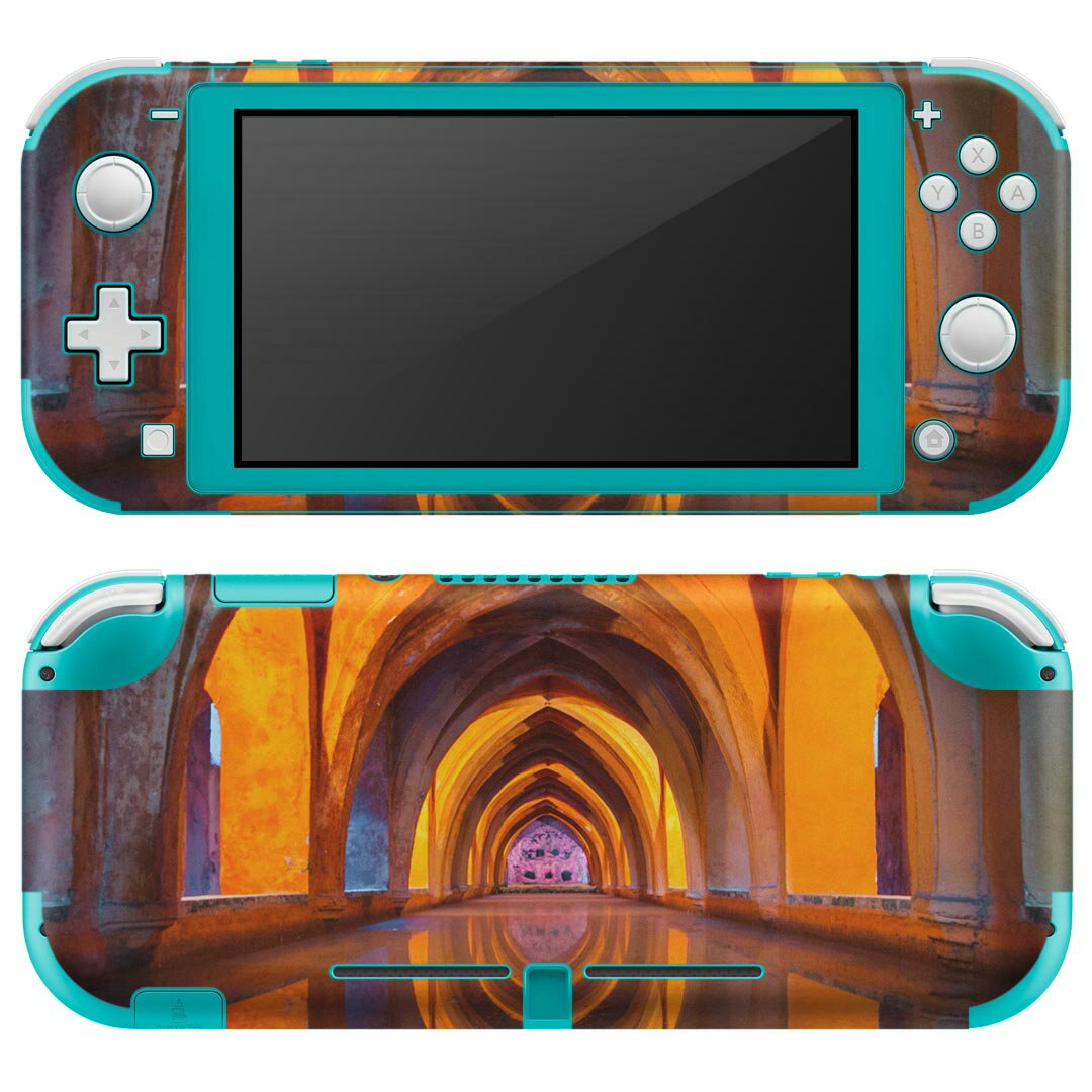 igsticker Nintendo Switch Lite p fUCXLV[ S jeh[ XCb` Cg p Q[@ Jo[ ANZT[ tB XebJ[ GAt[ 023946 z@ʐ^