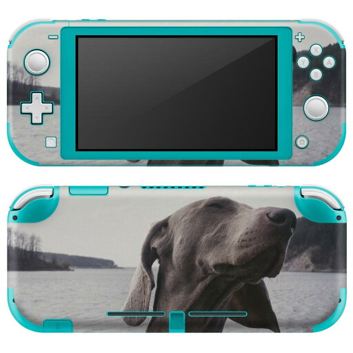 igsticker Nintendo Switch Lite 専用 デザインスキンシール 全面 ニンテンドー スイッチ ライト 専用 ゲーム機 カバー アクセサリー フィルム ステッカー エアフリー 023964 犬 動物 写真 igsticker Nintendo Switch Lite 専用 デザインスキンシール 全面 ニンテンドー スイッチ ライト 専用 ゲーム機 カバー アクセサリー フィルム ステッカー エアフリー 023964 犬 動物 写真