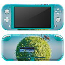 igsticker Nintendo Switch Lite 専用 デザインスキンシール 全面 ニンテンドー スイッチ ライト 専用 ゲーム機 カバー アクセサリー フィルム ステッカー エアフリー 023987 自転車 植物 ピアノ
