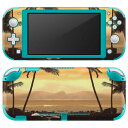 igsticker Nintendo Switch Lite p fUCXLV[ S jeh[ XCb` Cg p Q[@ Jo[ ANZT[ tB XebJ[ GAt[ 004650 C@V̖