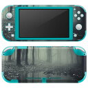 igsticker Nintendo Switch Lite 専用 デザインスキンシール 全面 ニンテンドー スイッチ ライト 専用 ゲーム機 カバー アクセサリー フィルム ステッカー エアフリー 005900 写真 森 林(2)