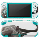 igsticker Nintendo Switch Lite 専用 デザインスキンシール 全面 ニンテンドー スイッチ ライト 専用 ゲーム機 カバー アクセサリー フィルム ステッカー エアフリー 005907 アニマル 写真　動物　猫　ねこ