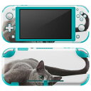 igsticker Nintendo Switch Lite 専用 デザインスキンシール 全面 ニンテンドー スイッチ ライト 専用 ゲーム機 カバー アクセサリー フィルム ステッカー エアフリー 005907 アニマル 写真 動物 猫 ねこ(2)