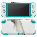 igsticker Nintendo Switch Lite 専用 デザインスキンシール 全面 ニンテンドー スイッチ ライト 専用 ゲーム機 カバー アクセサリー フィルム ステッカー エアフリー 005911 アニマル 写真 動物 ねずみ