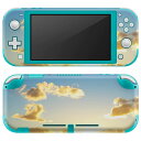 igsticker Nintendo Switch Lite 専用 デザインスキンシール 全面 ニンテンドー スイッチ ライト 専用 ゲーム機 カバー アクセサリー フィルム ステッカー エアフリー 006326 写真　海　空　夕日