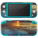 igsticker Nintendo Switch Lite p fUCXLV[ S jeh[ XCb` Cg p Q[@ Jo[ ANZT[ tB XebJ[ GAt[ 006348 ʐ^@C@@[