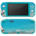 igsticker Nintendo Switch Lite 専用 デザインスキンシール 全面 ニンテンドー スイッチ ライト 専用 ゲーム機 カバー アクセサリー フィルム ステッカー エアフリー 006468 写真 海 ボート(2)