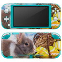 igsticker Nintendo Switch Lite 専用 デザインスキンシール 全面 ニンテンドー スイッチ ライト 専用 ゲーム機 カバー アクセサリー フィルム ステッカー エアフリー 006581 写真 うさぎ 動物