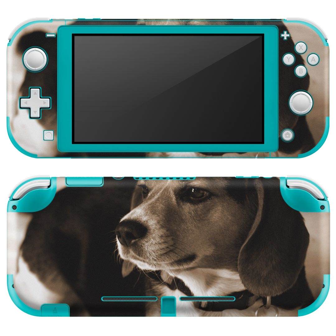 igsticker Nintendo Switch Lite p fUCXLV[ S jeh[ XCb` Cg p Q[@ Jo[ ANZT[ tB XebJ[ GAt[ 008194 ʐ^@ZsA@