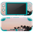 igsticker Nintendo Switch Lite 専用 デザインスキンシール 全面 ニンテンドー スイッチ ライト 専用 ゲーム機 カバー アクセサリー フィルム ステッカー エアフリー 009393 風景 景色 写真(2)