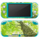 igsticker Nintendo Switch Lite p fUCXLV[ S jeh[ XCb` Cg p Q[@ Jo[ ANZT[ tB XebJ[ GAt[ 009755 A@΁@ʐ^