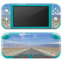 igsticker Nintendo Switch Lite 専用 デザインスキンシール 全面 ニンテンドー スイッチ ライト 専用 ゲーム機 カバー アクセサリー フィルム ステッカー エアフリー 009893 風景 景色 写真|詳細画像