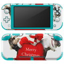 igsticker Nintendo Switch Lite 専用 デザインスキンシール 全面 ニンテンドー スイッチ ライト 専用 ゲーム機 カバー アクセサリー フィルム ステッカー エアフリー 009971 クリスマス サンタ 写真