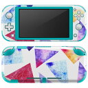 igsticker Nintendo Switch Lite 専用 デザインスキンシール 全面 ニンテンドー スイッチ ライト 専用 ゲーム機 カバー アクセサリー フィルム ステッカー エアフリー 010490 水彩 カラフル