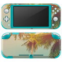 igsticker Nintendo Switch Lite 専用 デザインスキンシール 全面 ニンテンドー スイッチ ライト 専用 ゲーム機 カバー アクセサリー フィルム ステッカー エアフリー 010529 ヤシの木 風景(2)