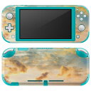igsticker Nintendo Switch Lite 専用 デザインスキンシール 全面 ニンテンドー スイッチ ライト 専用 ゲーム機 カバー アクセサリー フィルム ステッカー エアフリー 011092 空 写真 夕焼け(2)