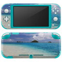 igsticker Nintendo Switch Lite 専用 デザインスキンシール 全面 ニンテンドー スイッチ ライト 専用 ゲーム機 カバー アクセサリー フィルム ステッカー エアフリー 011230 海 ビーチ リゾート(2)
