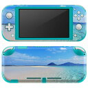 igsticker Nintendo Switch Lite 専用 デザインスキンシール 全面 ニンテンドー スイッチ ライト 専用 ゲーム機 カバー アクセサリー フィルム ステッカー エアフリー 011362 海　ビーチ　夏