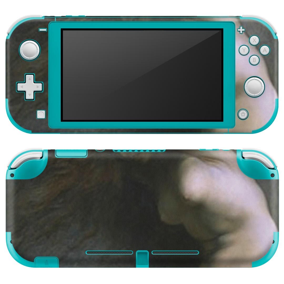 igsticker Nintendo Switch Lite 専用 デザインスキンシール 全面 ニンテンドー スイッチ ライト 専用 ゲーム機 カバー アクセサリー フィルム ステッカー エアフリー 011458 イラスト　人物　絵画