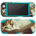 igsticker Nintendo Switch Lite p fUCXLV[ S jeh[ XCb` Cg p Q[@ Jo[ ANZT[ tB XebJ[ GAt[ 011491 @