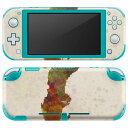 igsticker Nintendo Switch Lite 専用 デザインスキンシール 全面 ニンテンドー スイッチ ライト 専用 ゲーム機 カバー アクセサリー フィルム ステッカー エアフリー 011769 スウェーデン 外国 地図(2)