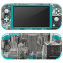 igsticker Nintendo Switch Lite 専用 デザインスキンシール 全面 ニンテンドー スイッチ ライト 専用 ゲーム機 カバー アクセサリー フィルム ステッカー エアフリー 018327 写真 都会 ニューヨーク(2)