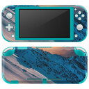 igsticker Nintendo Switch Lite 専用 デザインスキンシール 全面 ニンテンドー スイッチ ライト 専用 ゲーム機 カバー アクセサリー フィルム ステッカー エアフリー 018337 雪山 写真 空