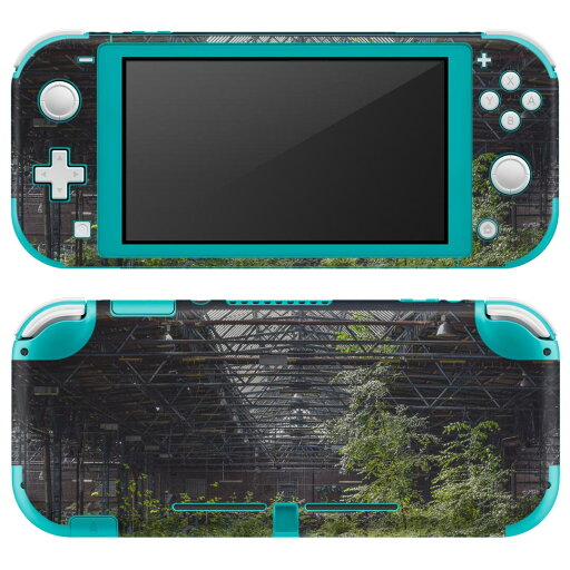 igsticker Nintendo Switch Lite 専用 デザインスキンシール 全面 ニンテンドー スイッチ ライト 専用 ゲーム機 カバー アクセサリー フィルム ステッカー エアフリー 018341 写真 風景 igsticker Nintendo Switch Lite 専用 デザインスキンシール 全面 ニンテンドー スイッチ ライト 専用 ゲーム機 カバー アクセサリー フィルム ステッカー エアフリー 018341 写真 風景
