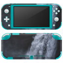 igsticker Nintendo Switch Lite 専用 デザインスキンシール 全面 ニンテンドー スイッチ ライト 専用 ゲーム機 カバー アクセサリー フィルム ステッカー エアフリー 018348 滝 写真(2)