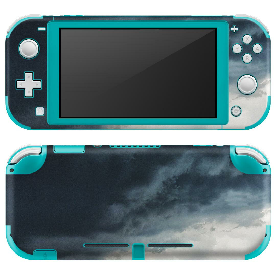 igsticker Nintendo Switch Lite 専用 デザインスキンシール 全面 ニンテンドー スイッチ ライト 専用 ゲーム機 カバー アクセサリー フィルム ステッカー エアフリー 018351 海 雲 写真