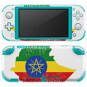 igsticker Nintendo Switch Lite p fUCXLV[ S jeh[ XCb` Cg p Q[@ Jo[ ANZT[ tB XebJ[ GAt[ 018824  ethiopia G`IsA