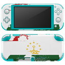igsticker Nintendo Switch Lite p fUCXLV[ S jeh[ XCb` Cg p Q[@ Jo[ ANZT[ tB XebJ[ GAt[ 018962  tajikistan ^WLX^