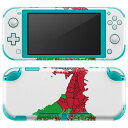 igsticker Nintendo Switch Lite 専用 デザインスキンシール 全面 ニンテンドー スイッチ ライト 専用 ゲーム機 カバー アクセサリー フィルム ステッカー エアフリー 018985 国旗 wales ウェールズ(2)
