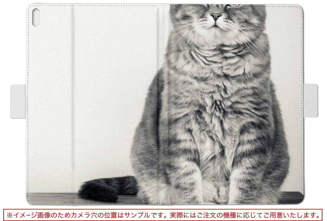 TOSHIBA Dynabook Tab s38m PS38MSEK2L6AA41 ダイナブックタブ Mサイズ 手帳型 タブレットケース カバー レザー フリップ ダイアリー 二つ折り 革 アニマル 猫　動物　写真 002901