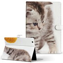 ONKYO オンキョー Slate Pad スレートパッド ta2ca41r3 Lサイズ 手帳型 タブレットケース カバー フリップ ダイアリー 二つ折り 革 写真・風景 写真 ネコ ねこ 006228