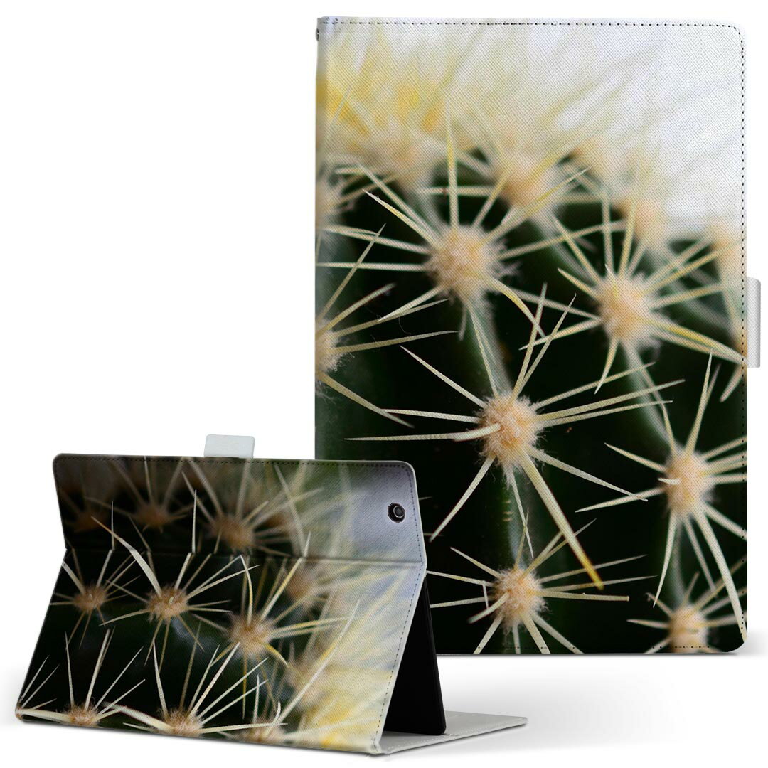 OPPO Pad Air 用 タブレットケース Lサイズ 手帳型 タブレットケース カバー 全機種対応有り レザー フリップ ダイアリー 二つ折り 革 023055 サボテン　写真