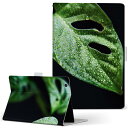 OPPO Pad Air 用 タブレットケース Lサイズ 手帳型 タブレットケース カバー 全機種対応有り レザー フリップ ダイアリー 二つ折り 革 023510 葉っぱ 植物 モンステラ(2)