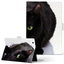 Kindle Fire HD 8.9 Amazon アマゾン キンドルファイア firehd89 Lサイズ 手帳型 タブレットケース カバー 全機種対応有り レザー フリップ ダイアリー 二つ折り 革 005958 アニマル 写真 動物 ねこ 猫