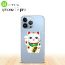 iPhone13 Pro iPhone13Pro P[X n[hP[X L N  iPhone13Prop nk-i13p-140